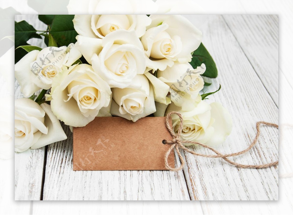 白色玫瑰花束礼物卡