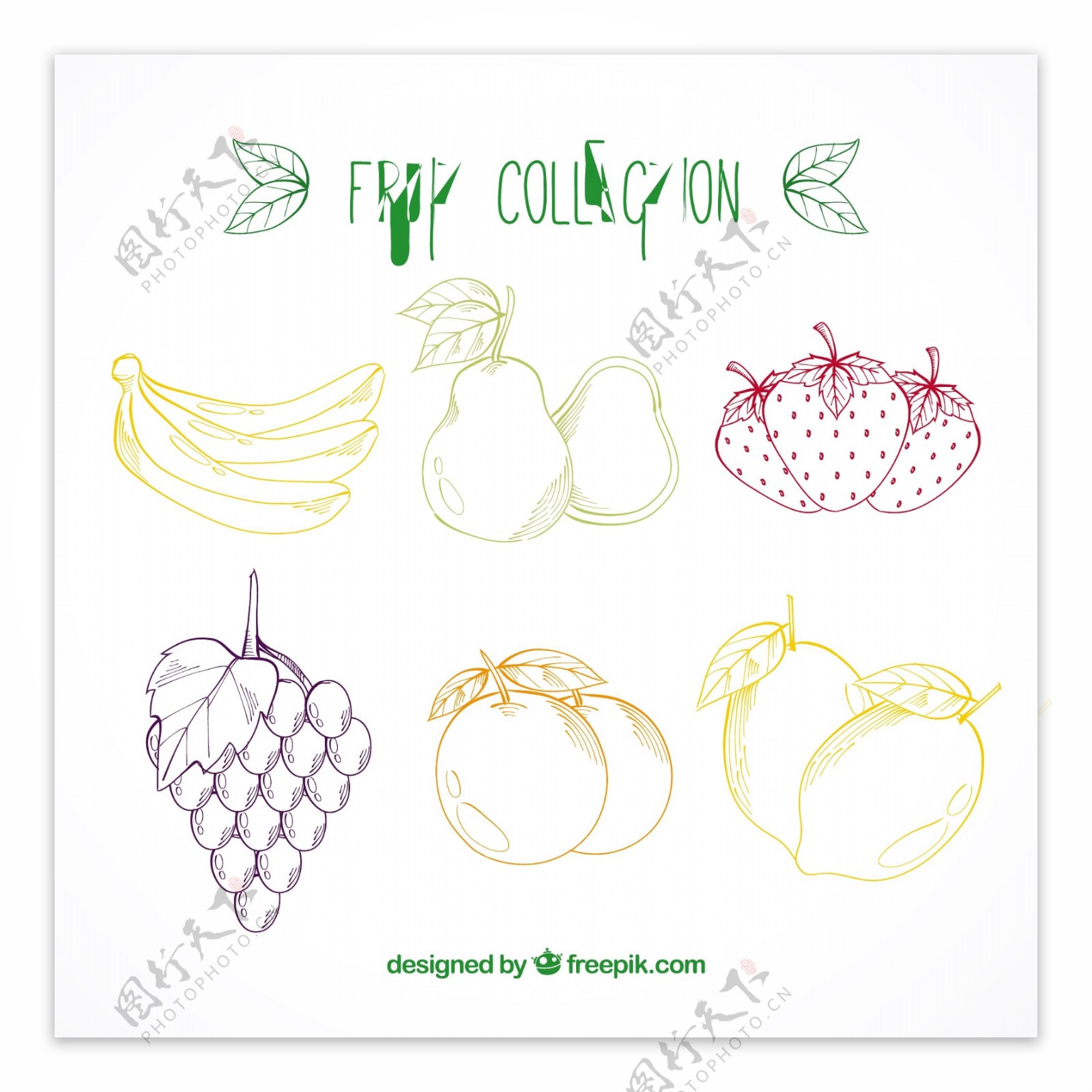 手绘彩色水果系列