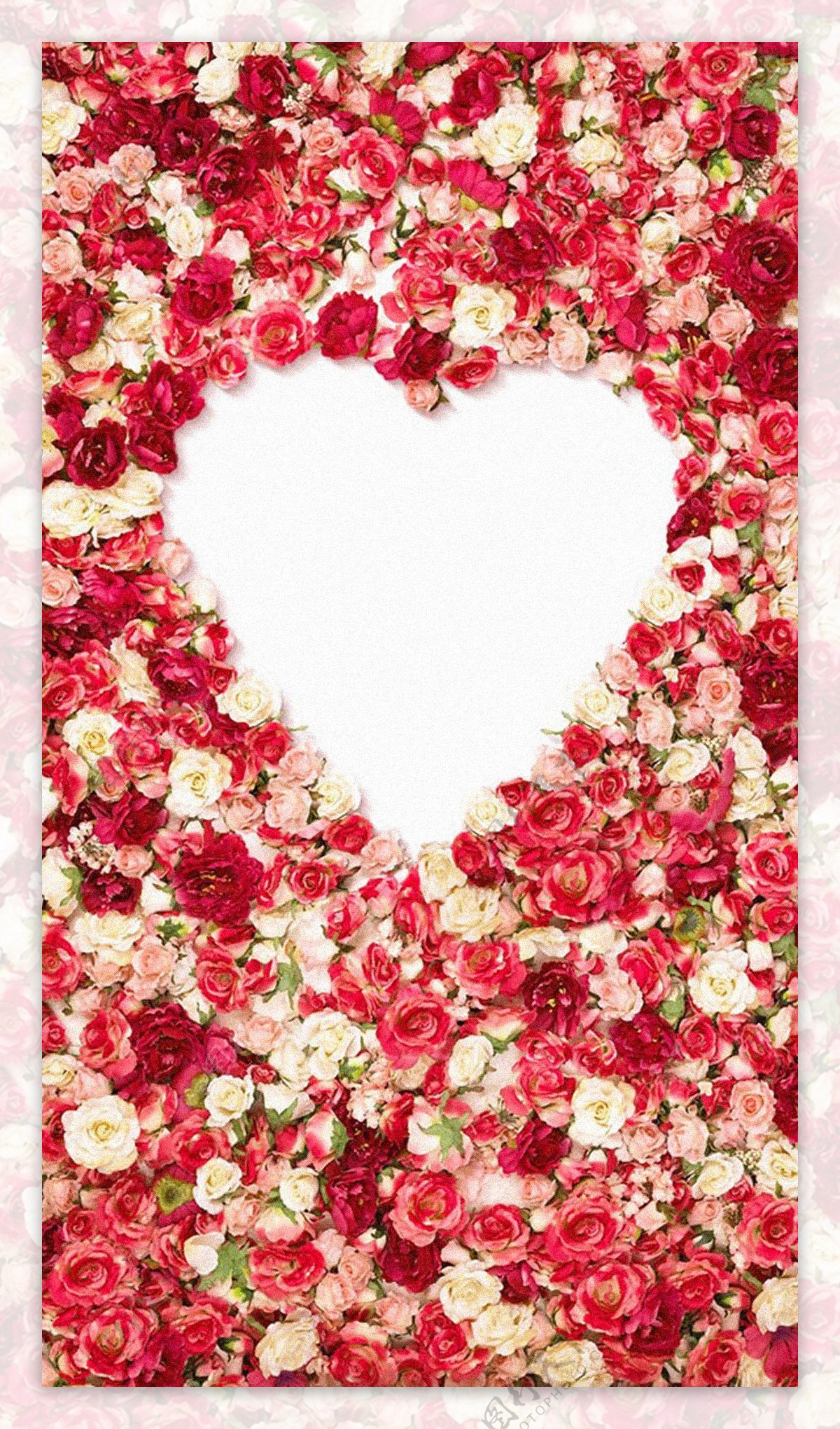 唯美玫瑰花H5背景素材