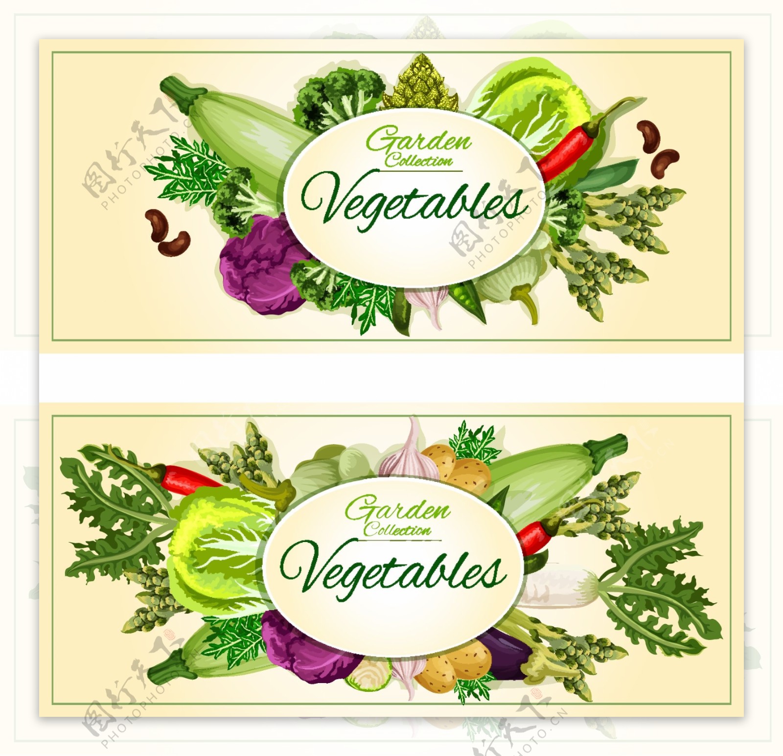蔬菜横幅