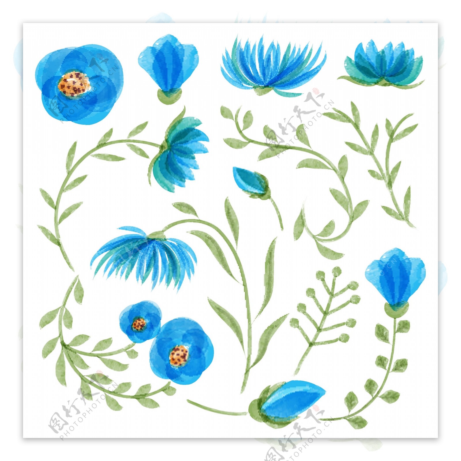 蓝色水彩花卉与叶和花卉收集