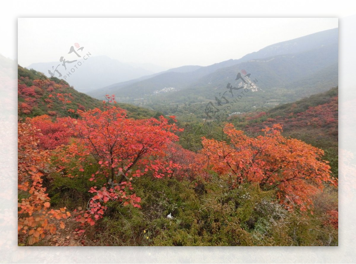 少林景区秋景