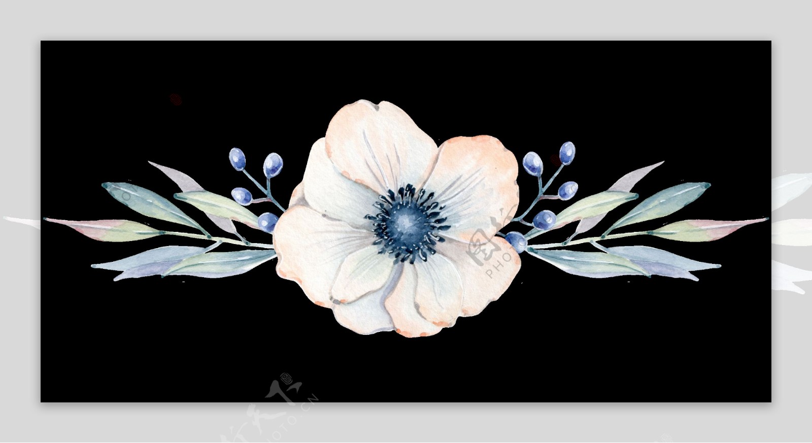 手绘叠裂银莲花透明装饰图案