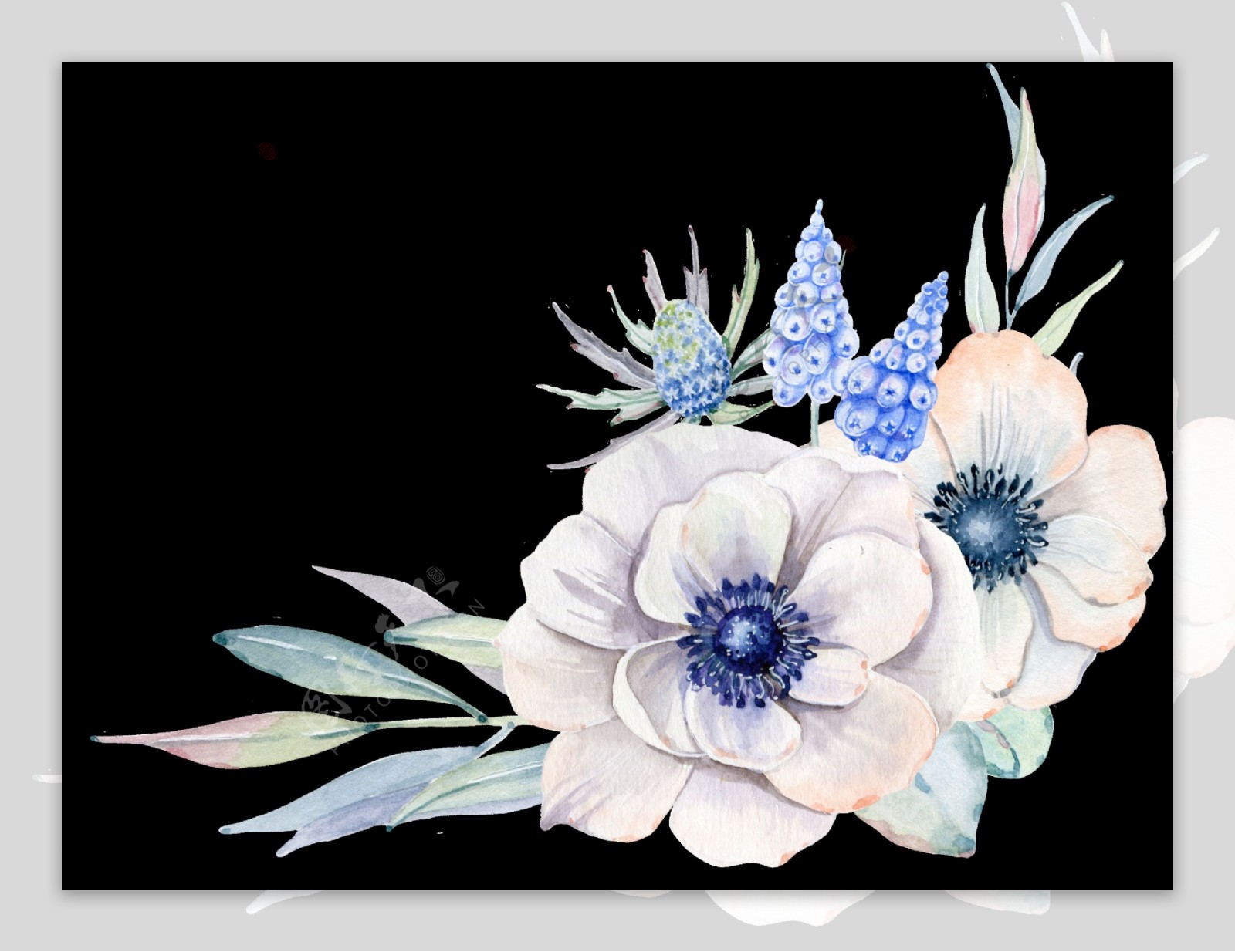 手绘冷艳高贵花朵透明装饰图案