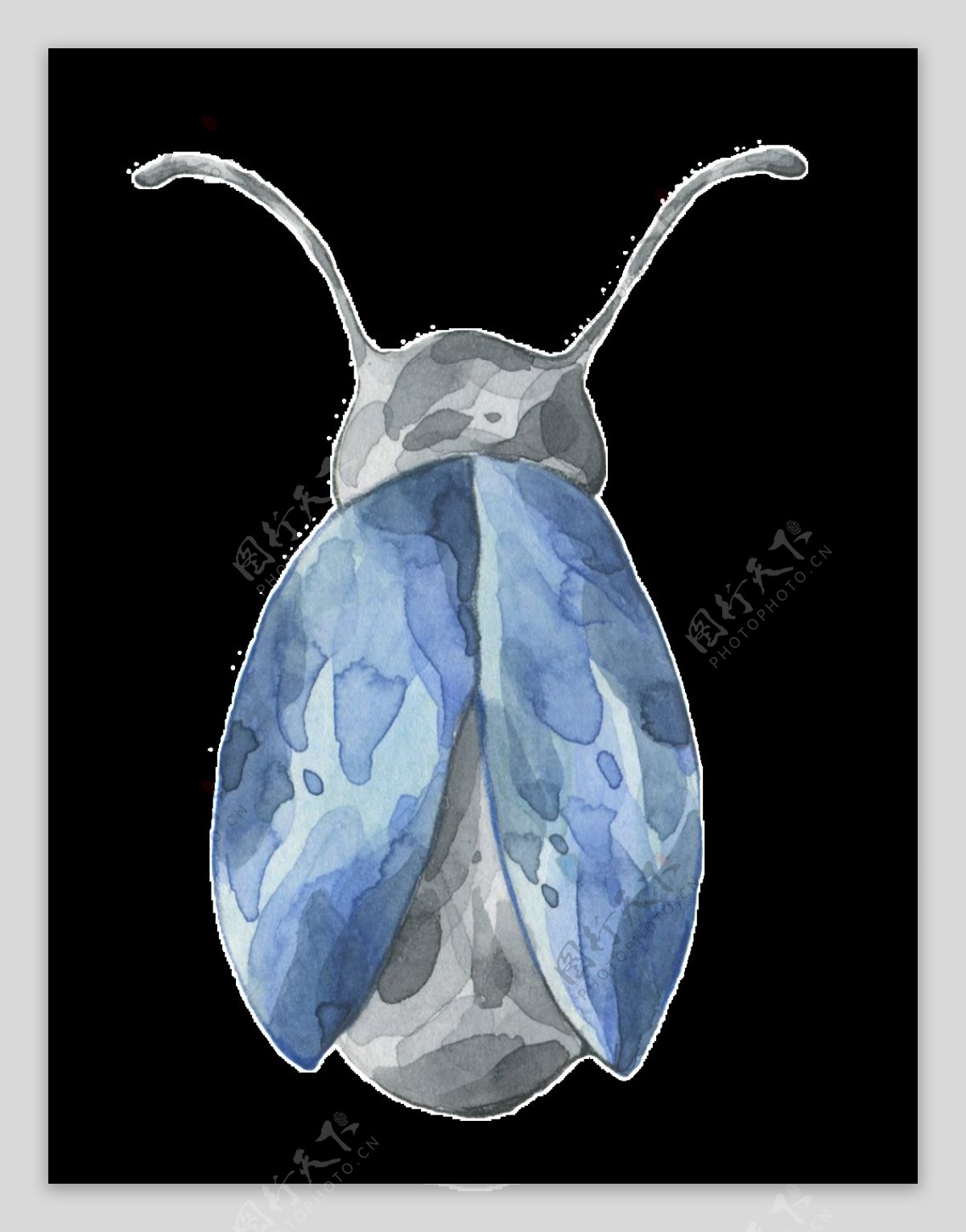 手绘蓝色昆虫透明装饰图案
