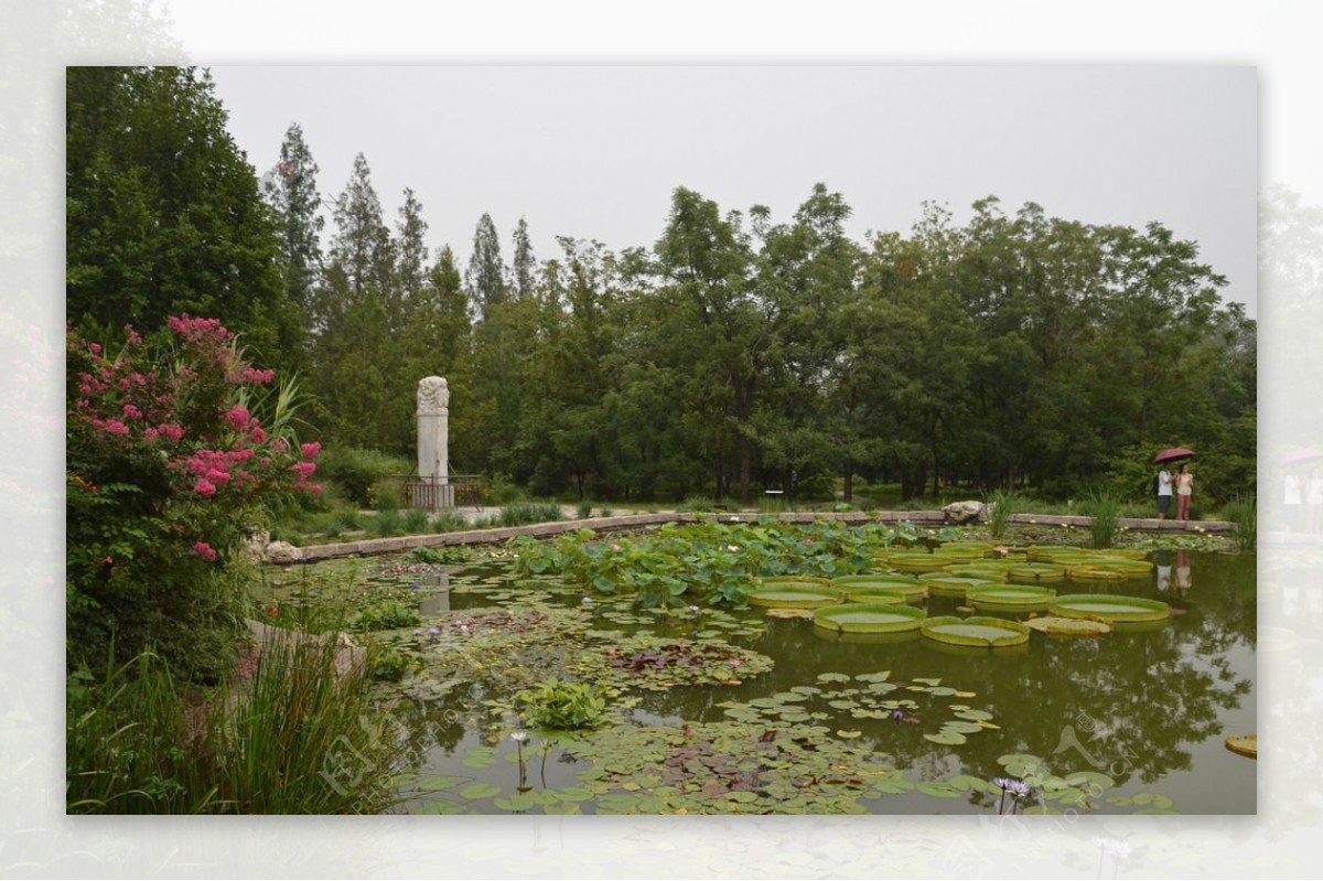 南植物园风景