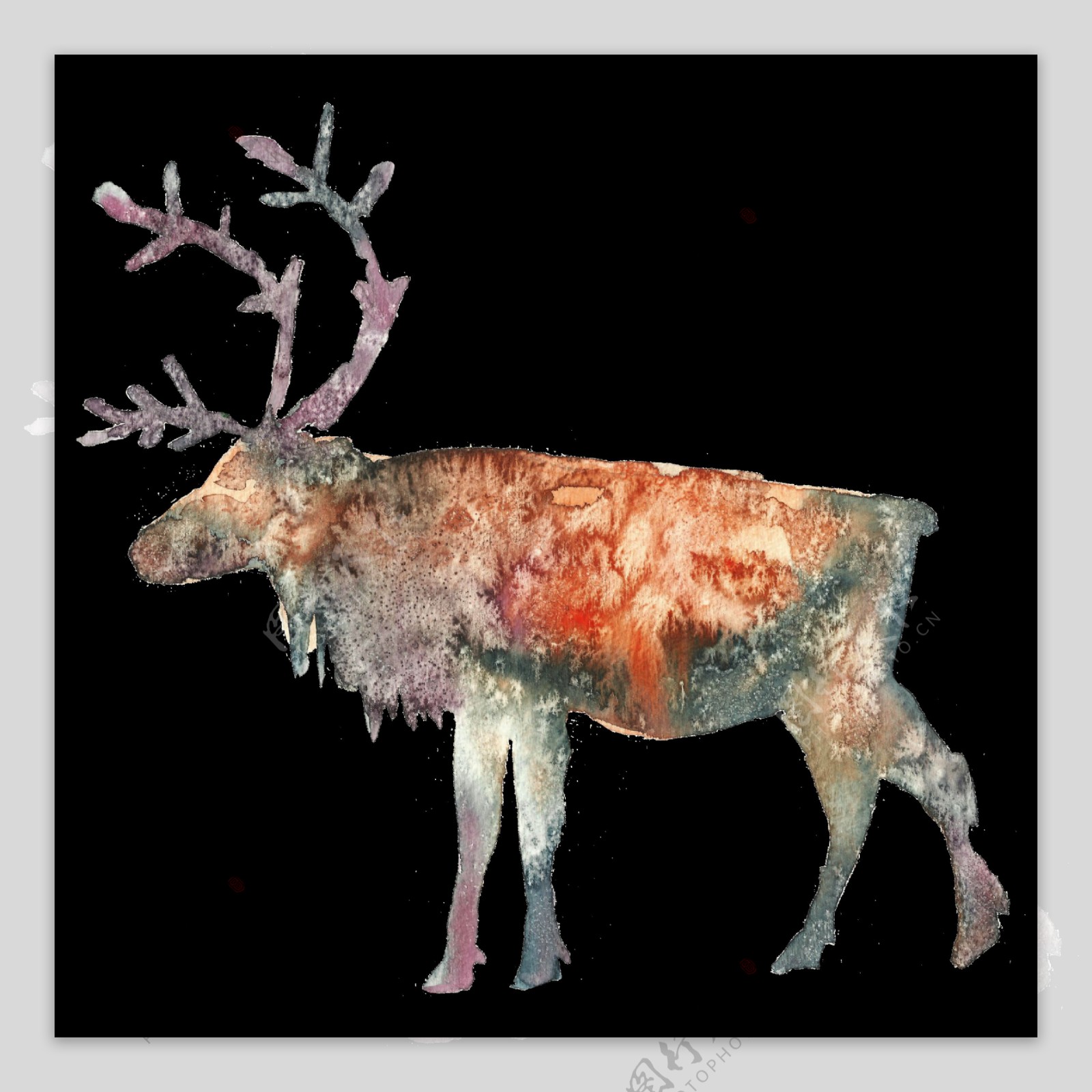 手绘花鹿透明装饰图案