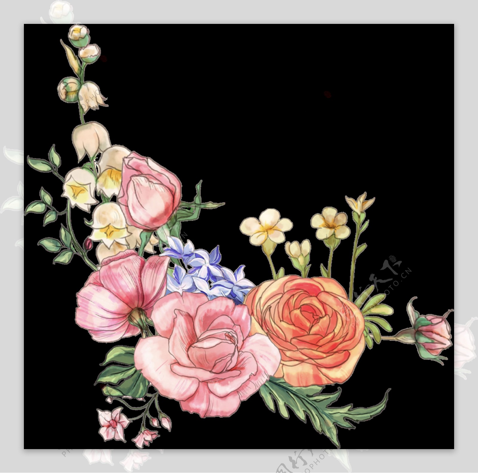 手绘艳丽玫瑰花透明装饰图案