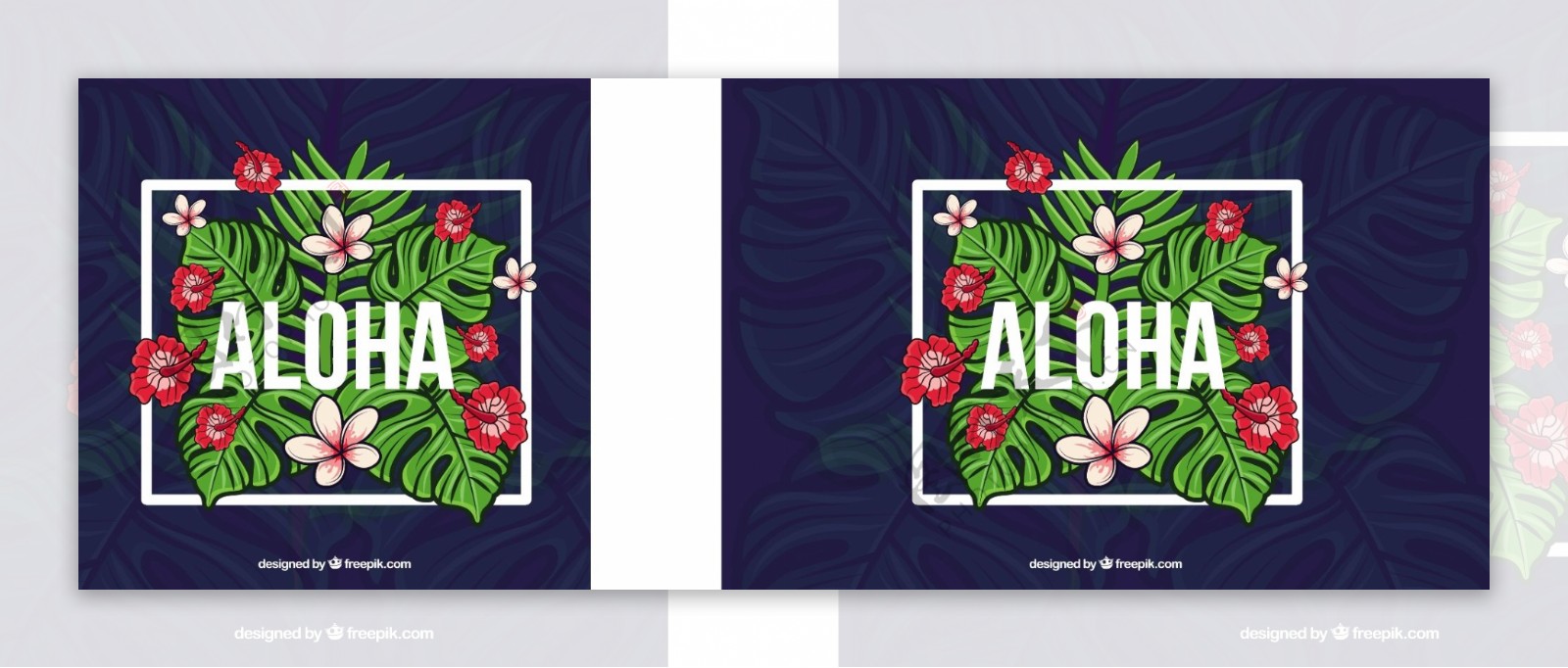 ALOHA的背景框架和热带花卉
