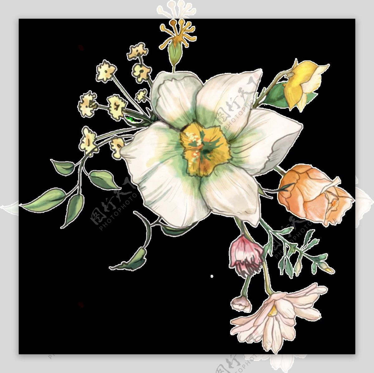 芬香花卉透明装饰图案