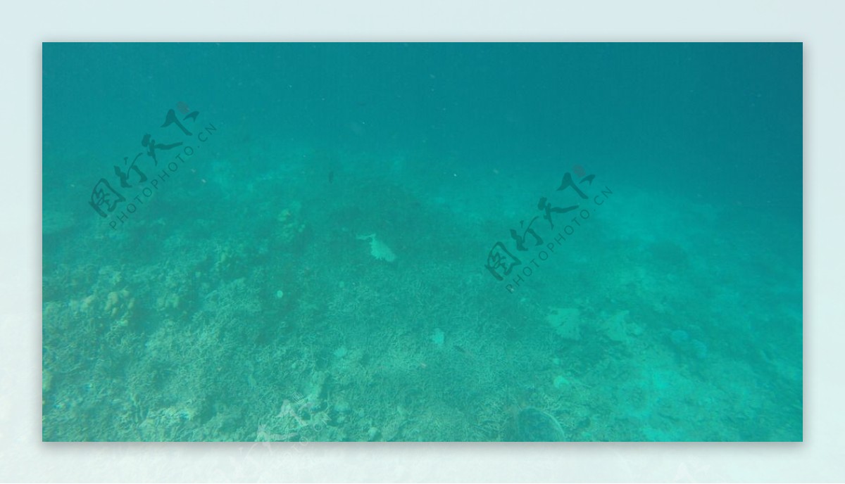 马尔代夫海底世界