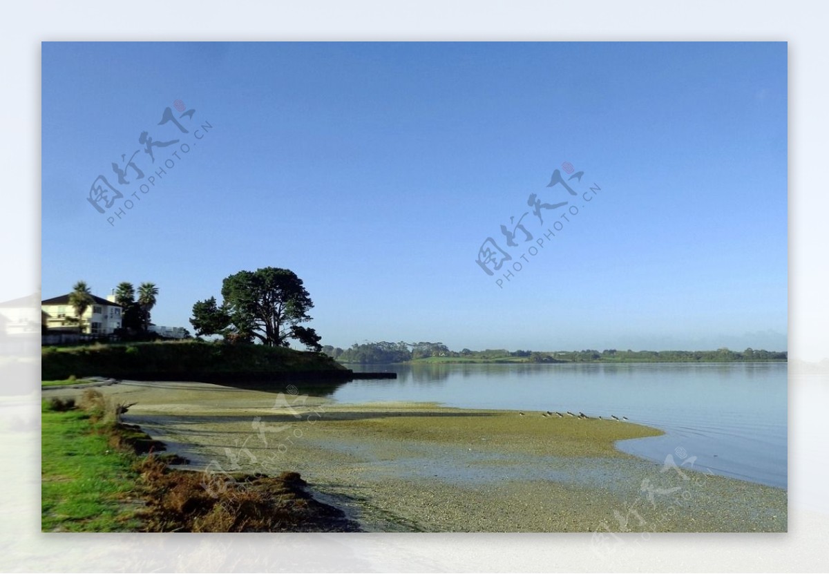 奥克兰海滨风景