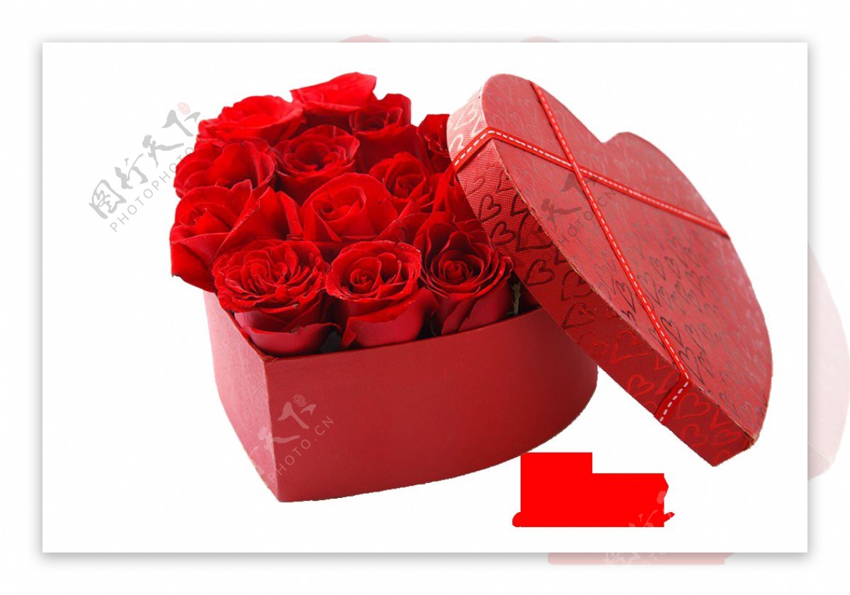 心形礼品盒玫瑰花素材图片