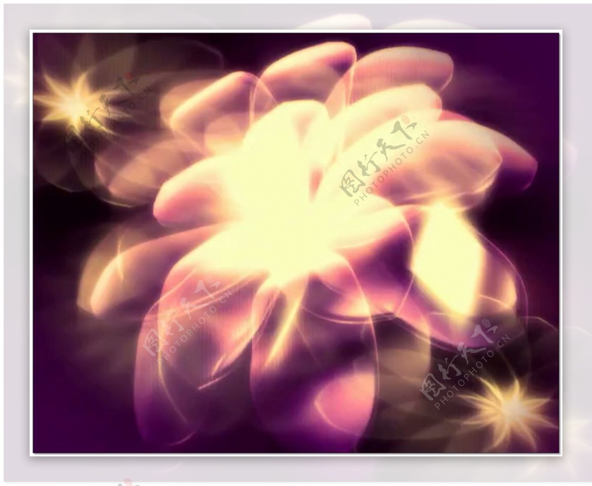 紫色花瓣发光视频素材