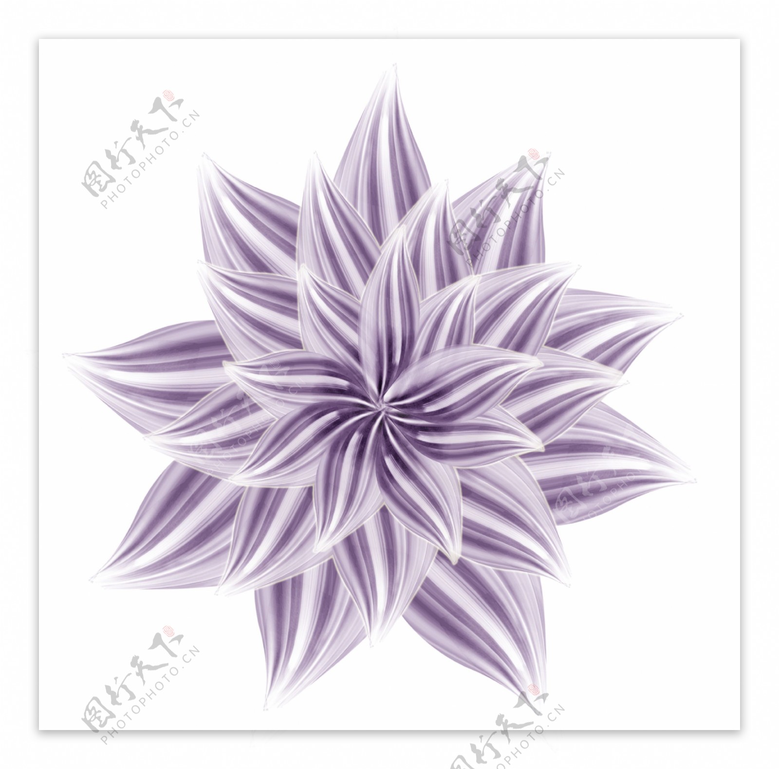 紫白花朵装饰图