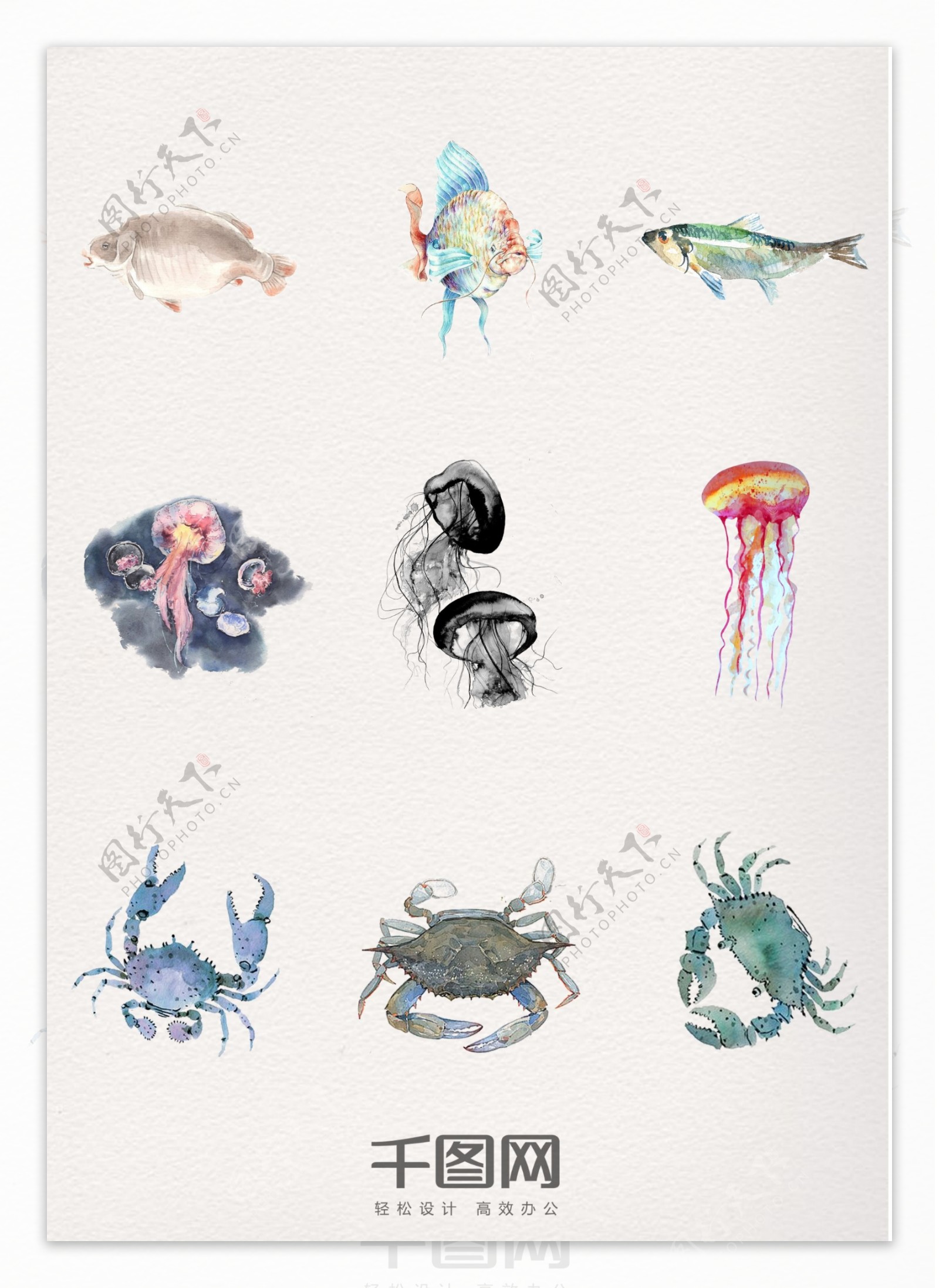 一组水彩动物海洋设计素材