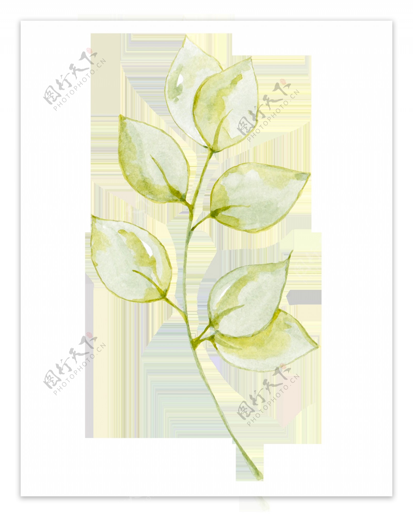 手绘绿色小植物透明素材