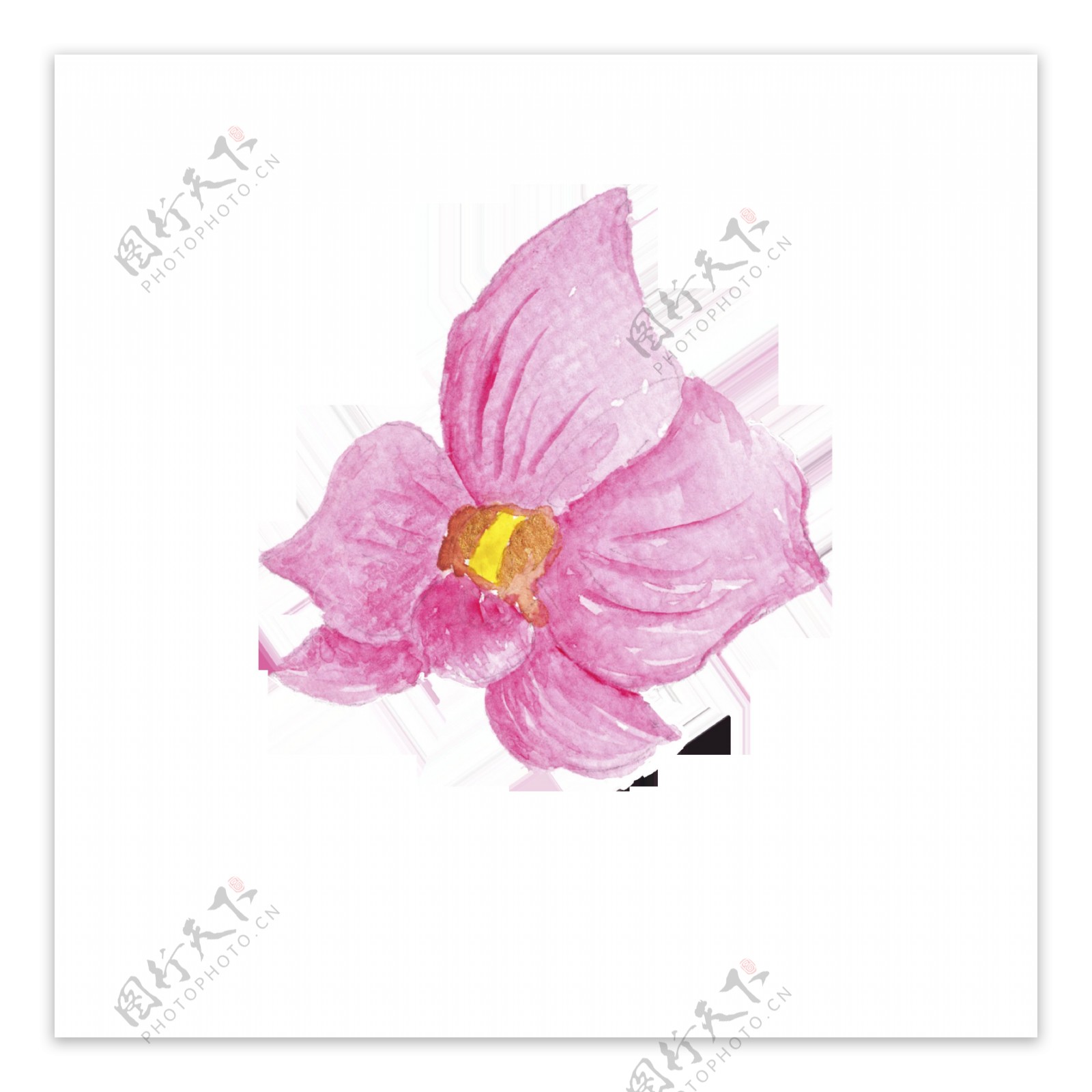 粉紫色手绘花朵时尚巴黎卡通透明素材