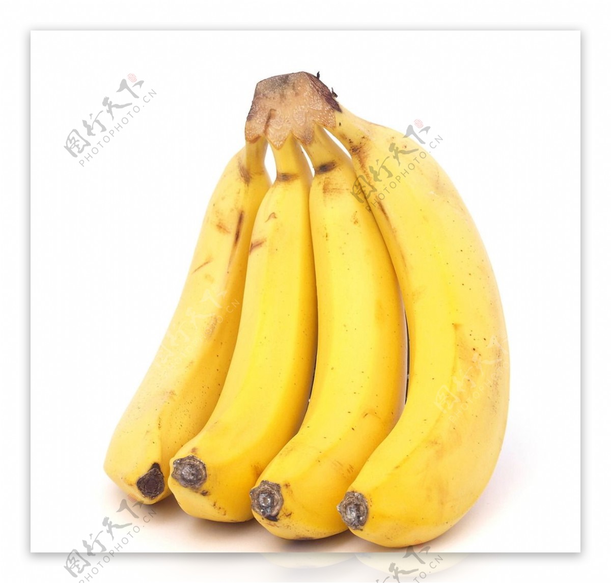 唯美香蕉