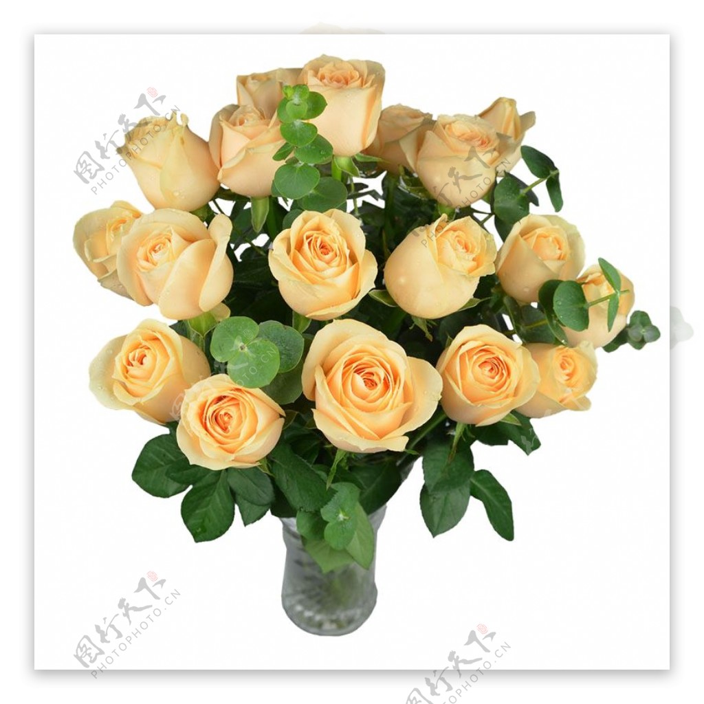花瓶里的玫瑰花素材图片