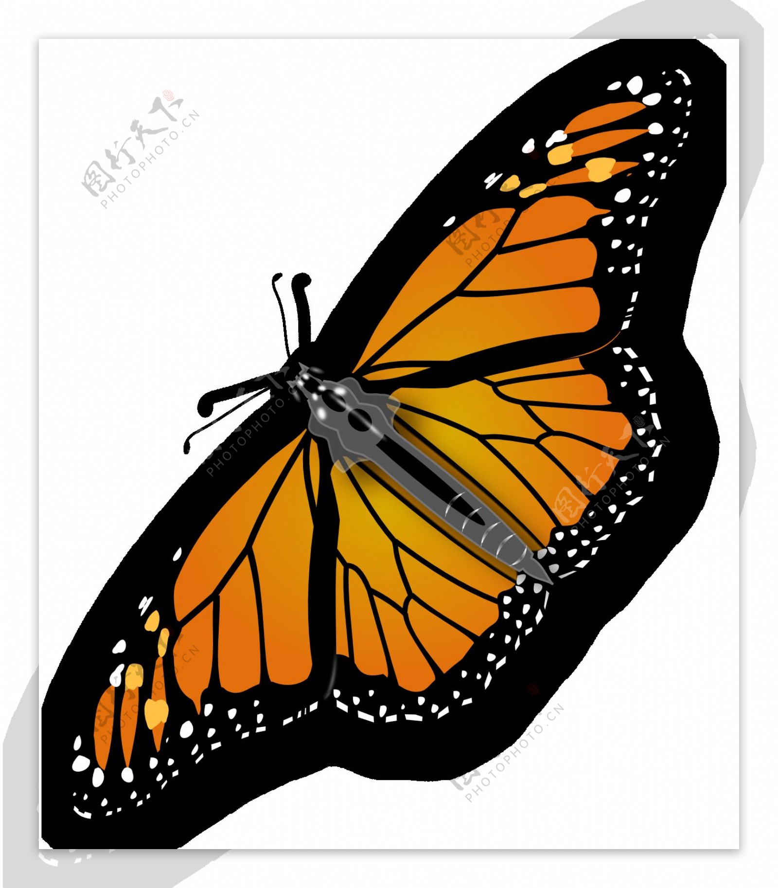 漂亮橙色蝴蝶免抠png透明图层素材