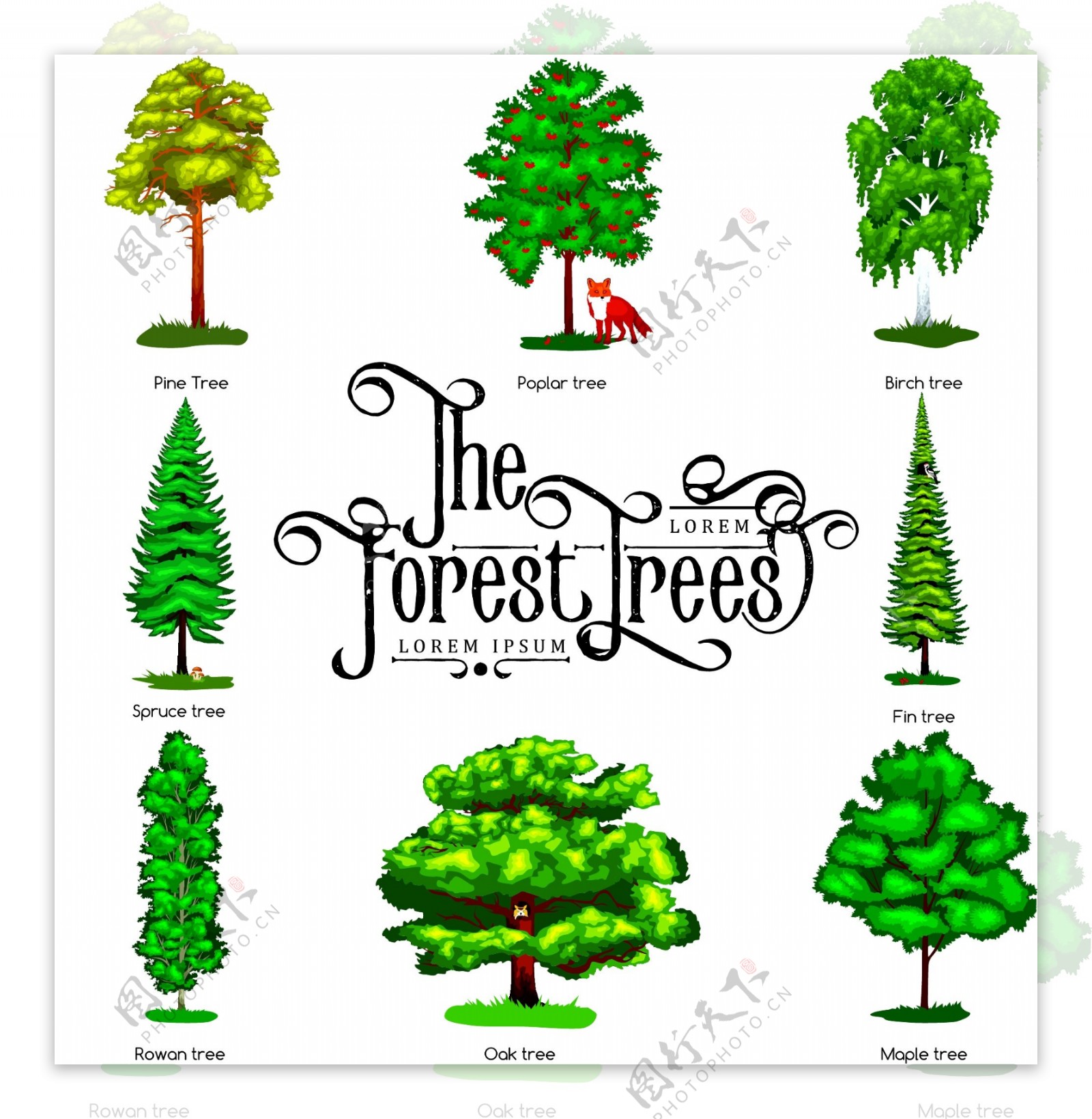 各种绿色大树元素插画