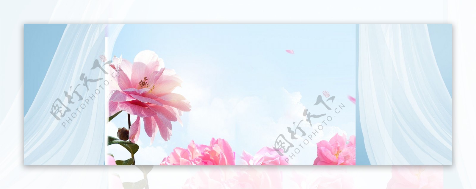 清新红色花朵banner背景素材