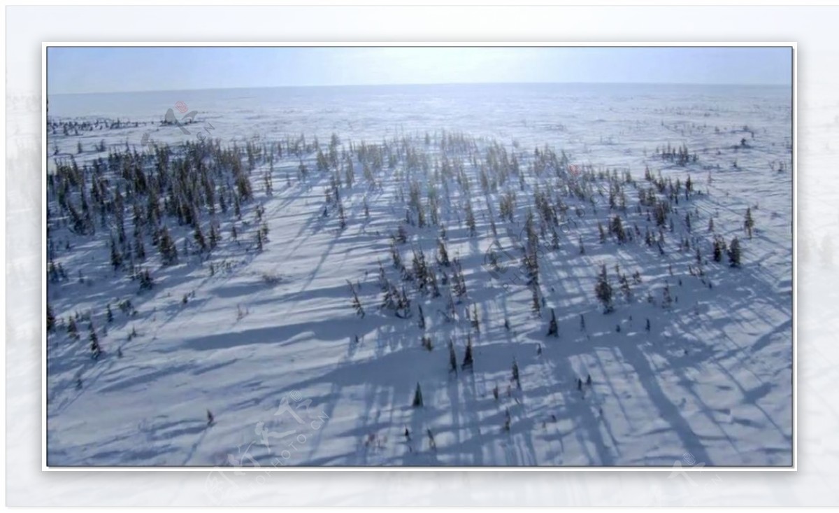 雪景动态视频素材