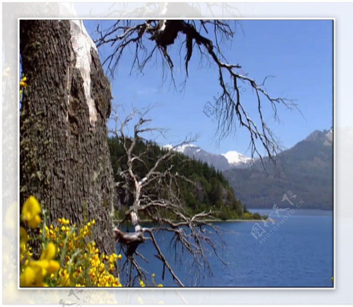 湖景动态视频素材