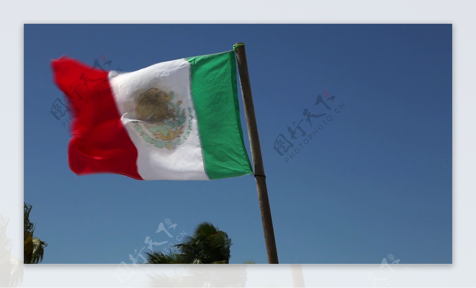 墨西哥国旗在风中吹