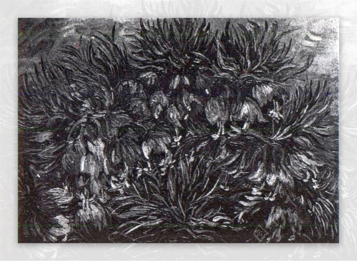 黑白灌木丛油画静物装饰画芯无框