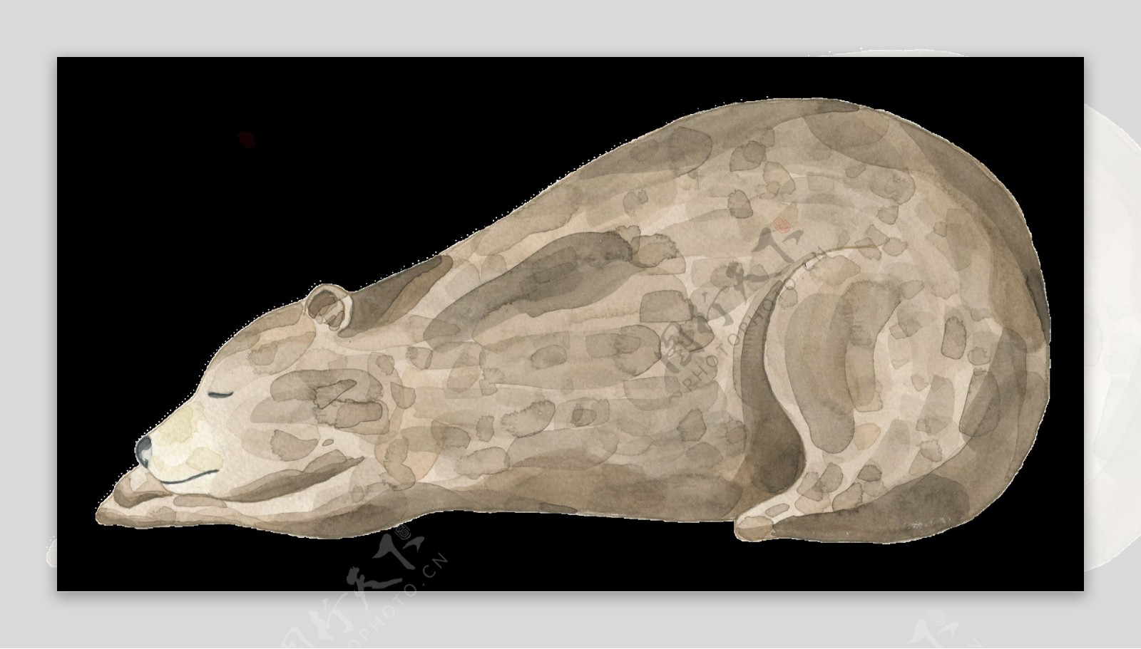 手绘睡着的熊透明装饰图案