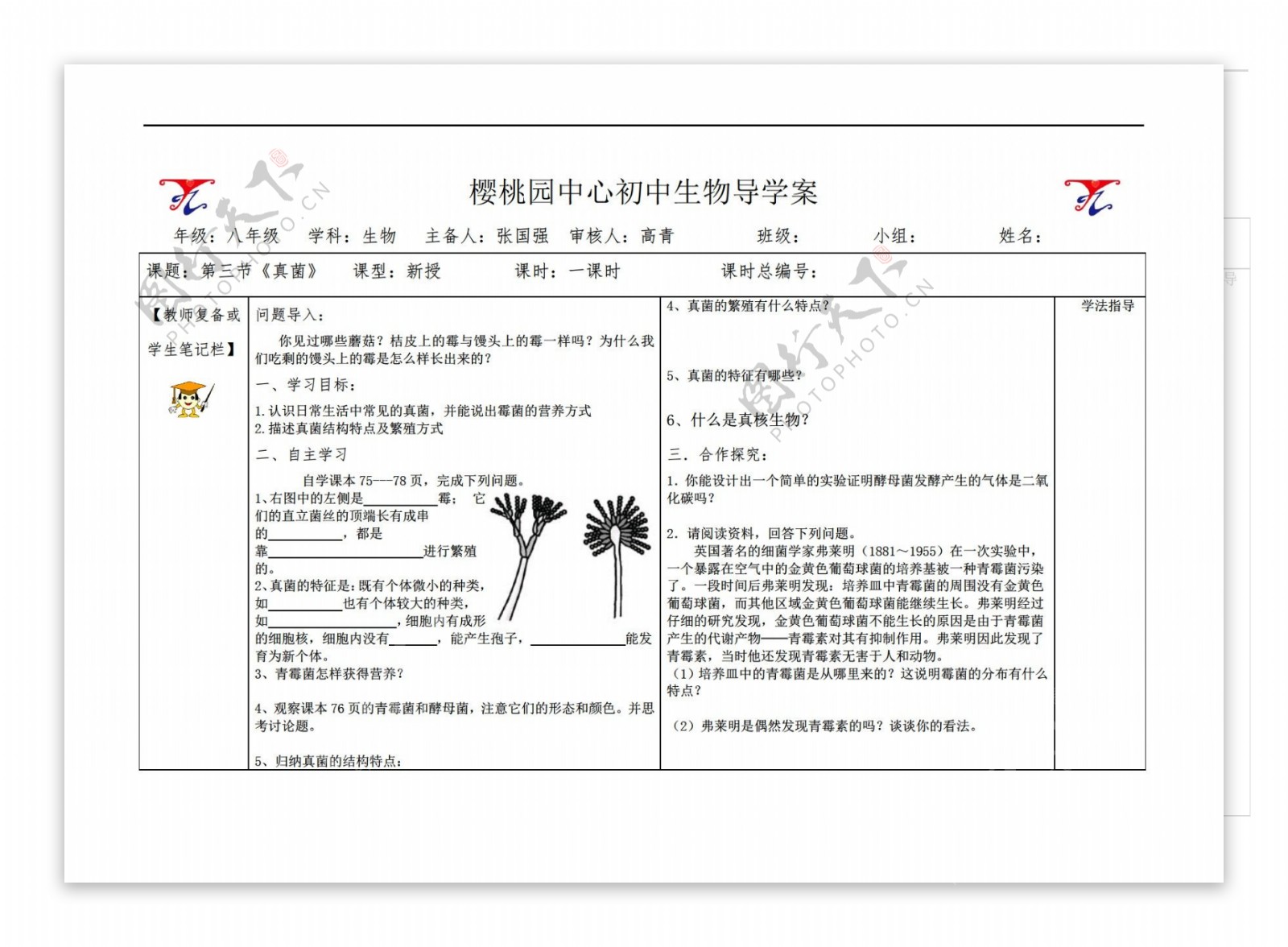 八年级上册生物第三节真菌导学案