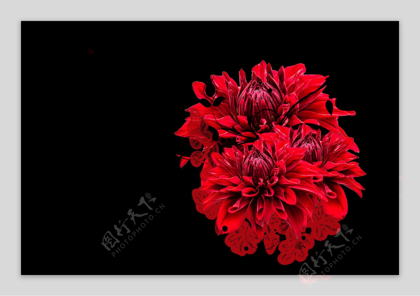 手绘艳丽大红色花朵png透明素材