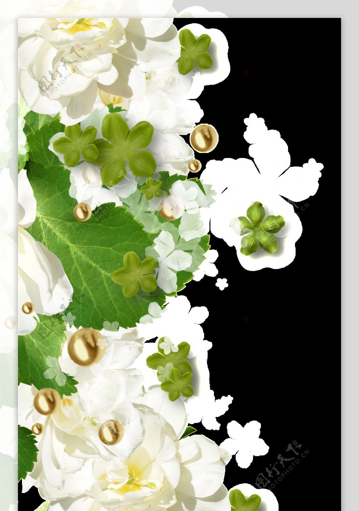 白花绿叶水珠组合花边png透明素材