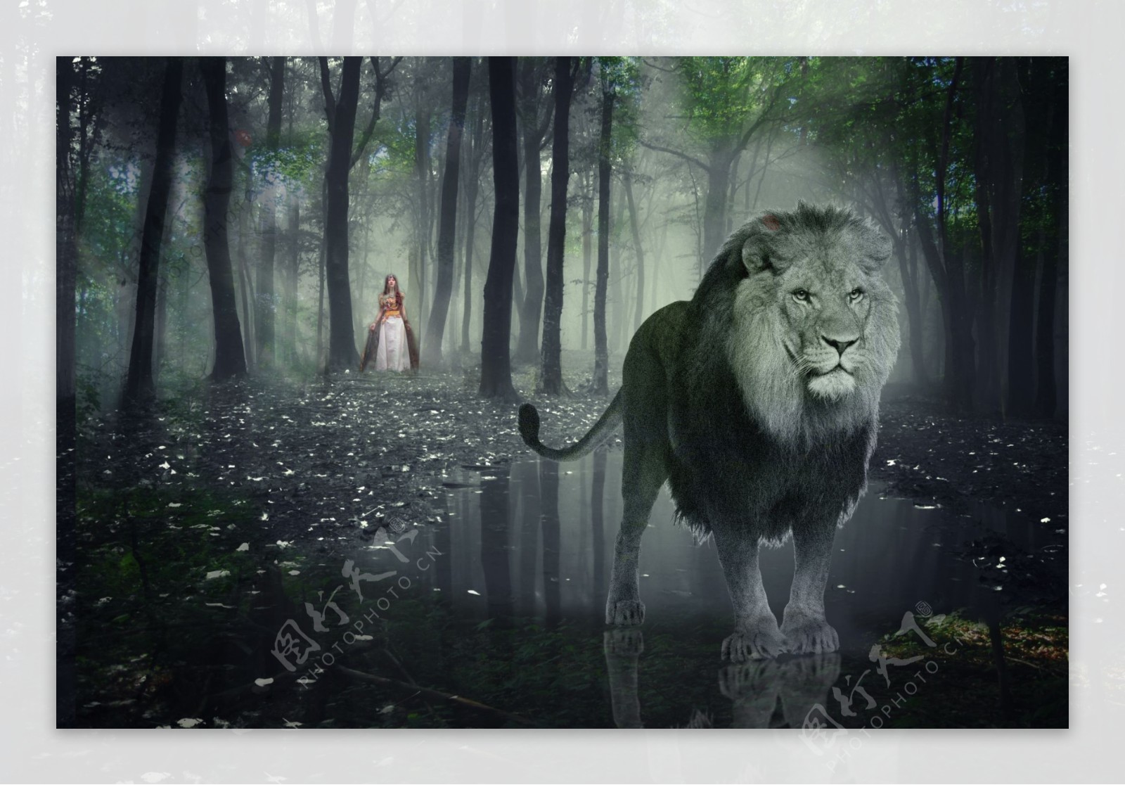 森林中的狮子与公主