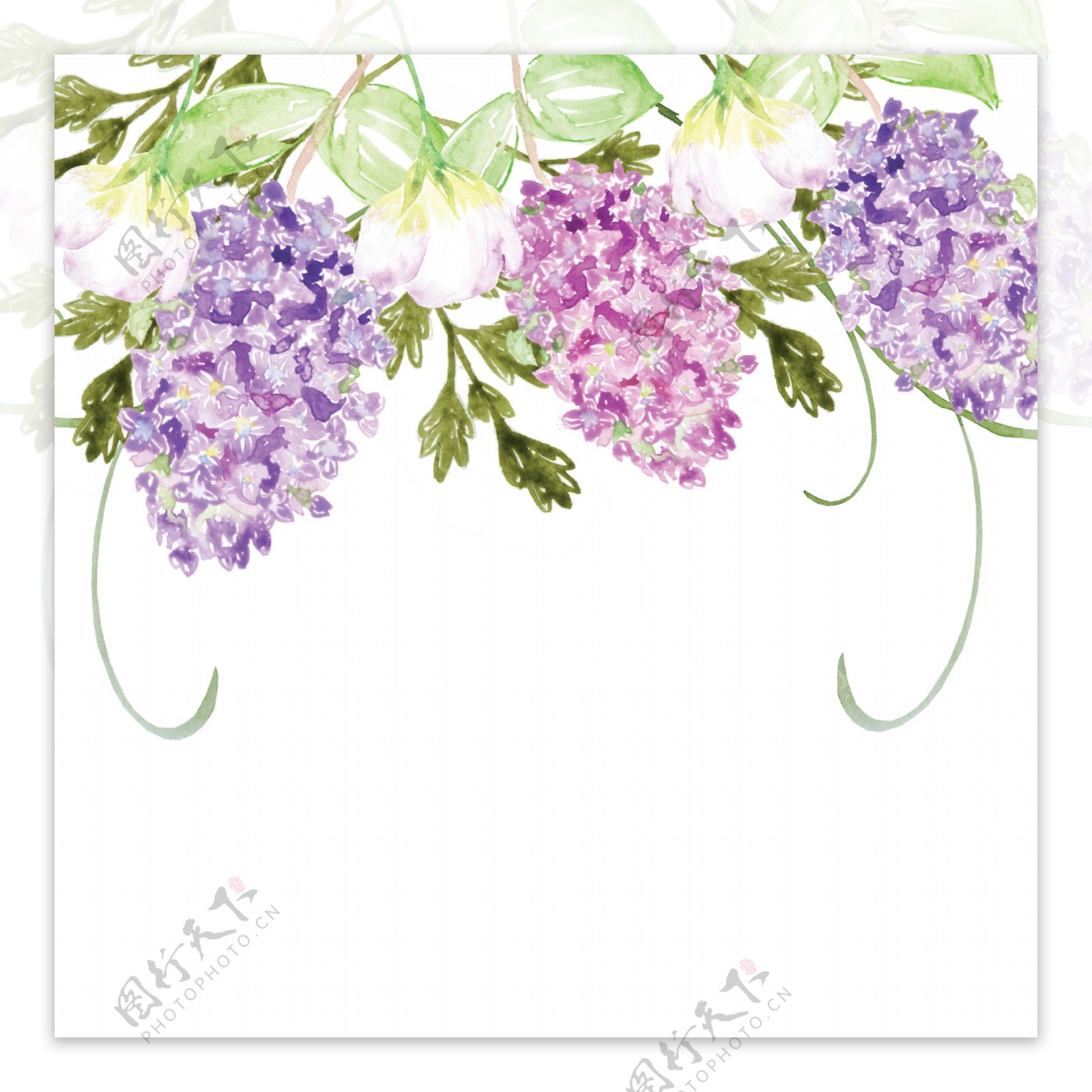 紫色茂密花卉卡通透明素材
