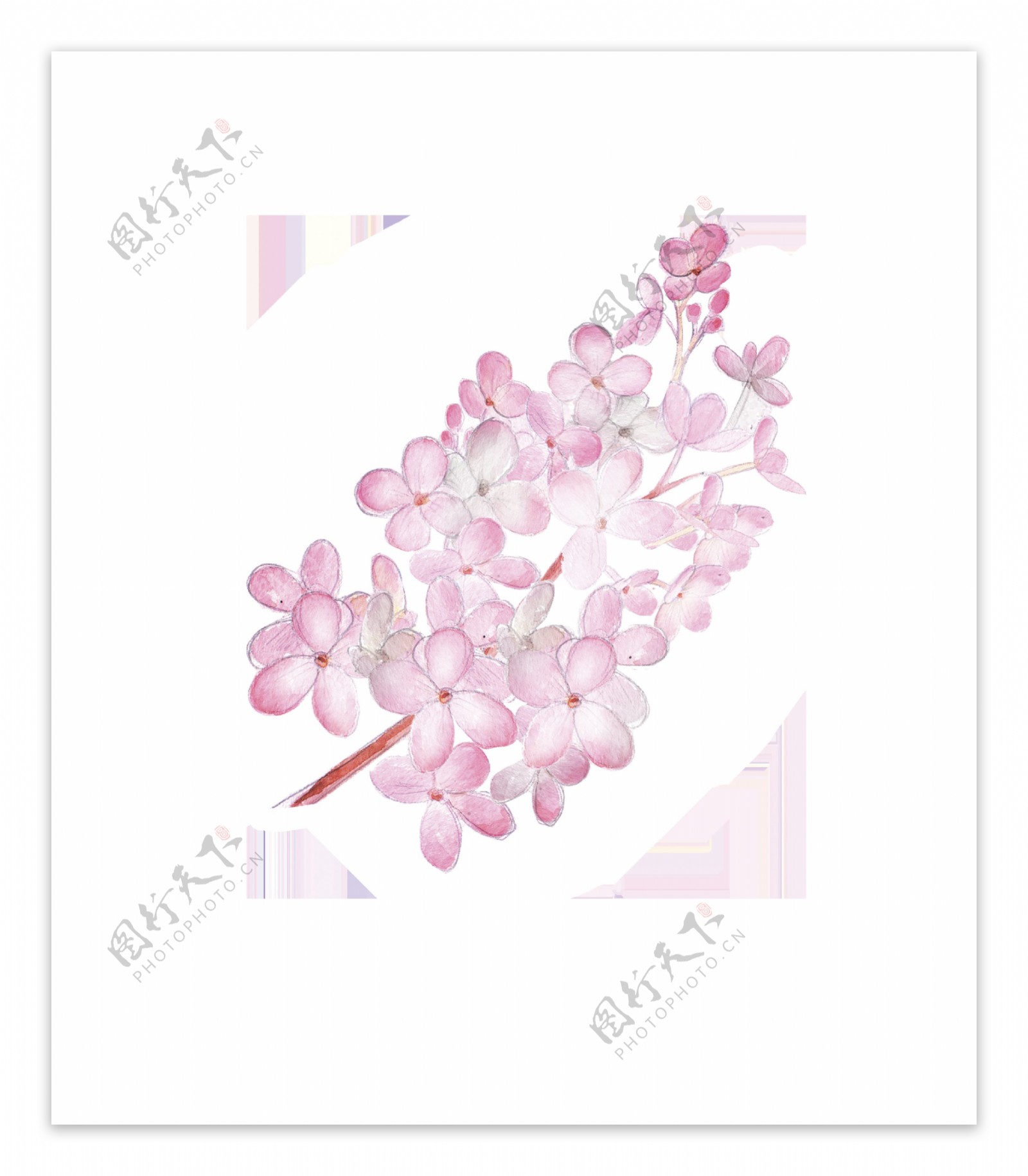粉色甜蜜花卉卡通透明装饰素材