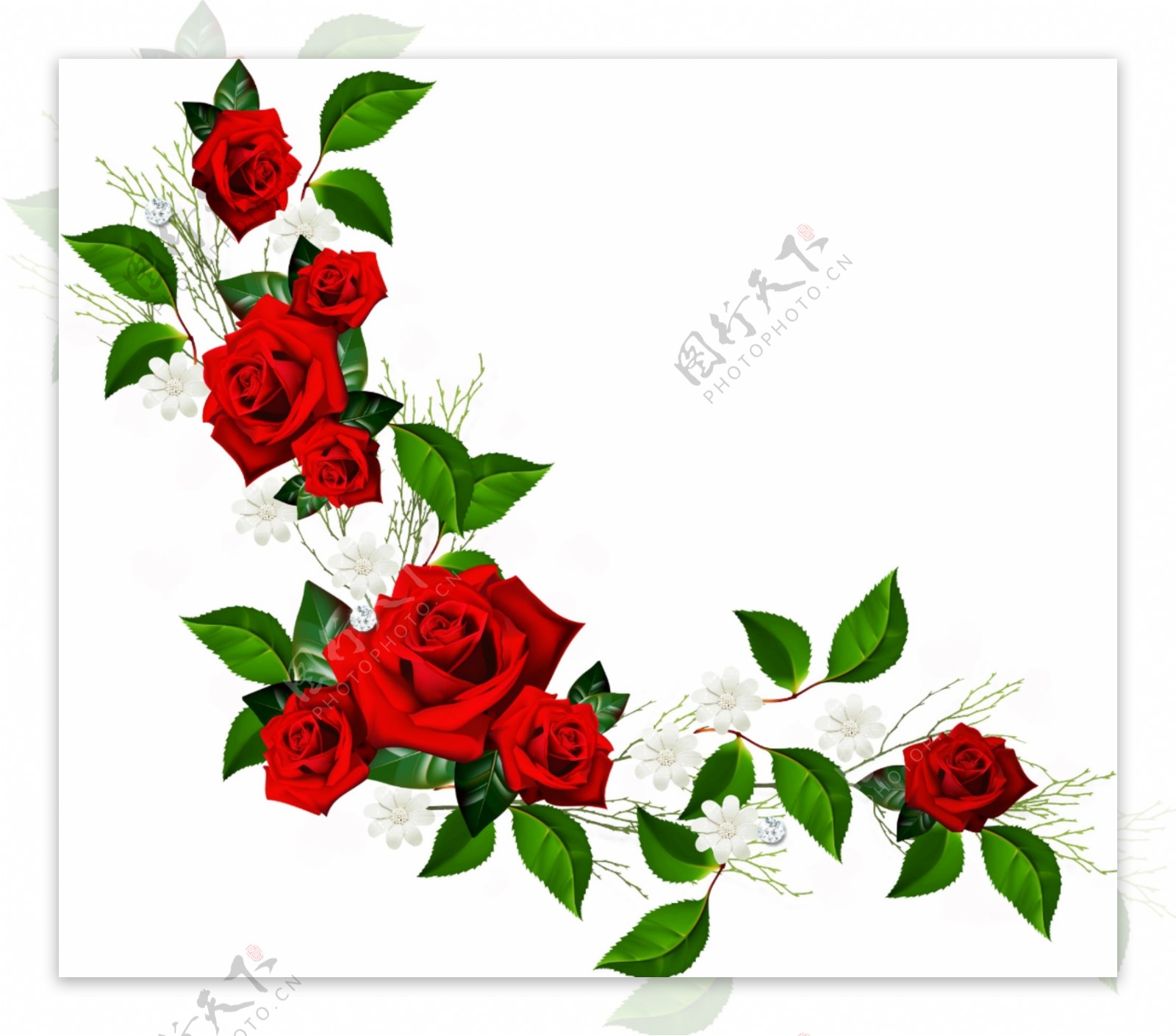 鲜红色玫瑰花卉边框免抠psd透明素材