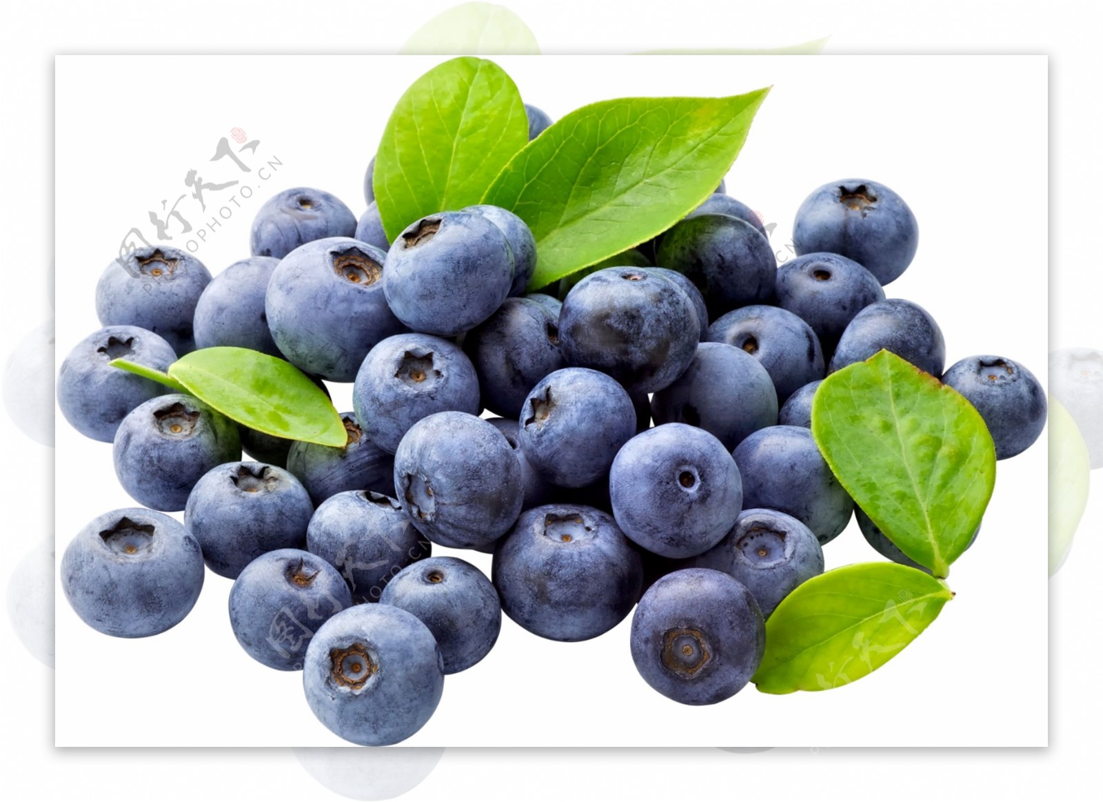 新鲜带叶子的蓝莓免抠psd透明素材