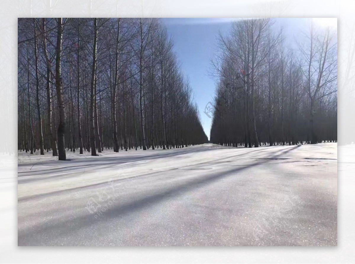 雪景