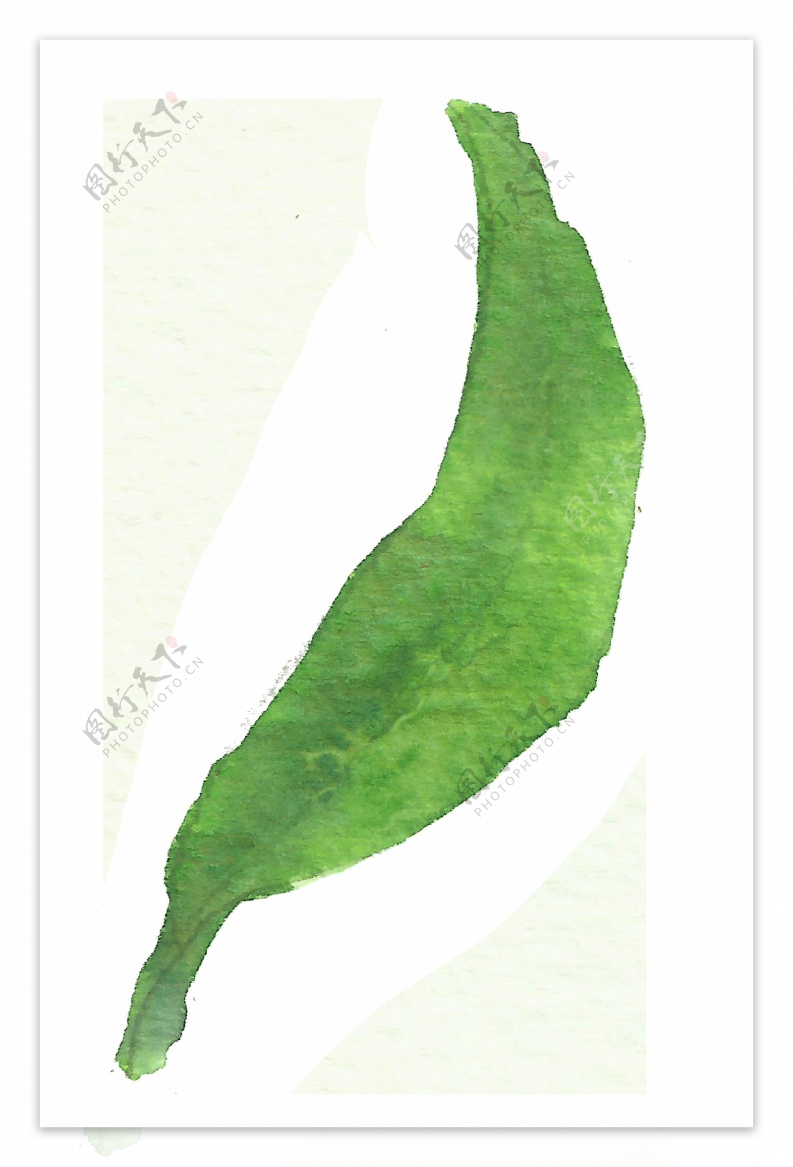 嫩绿树叶卡通水彩透明素材