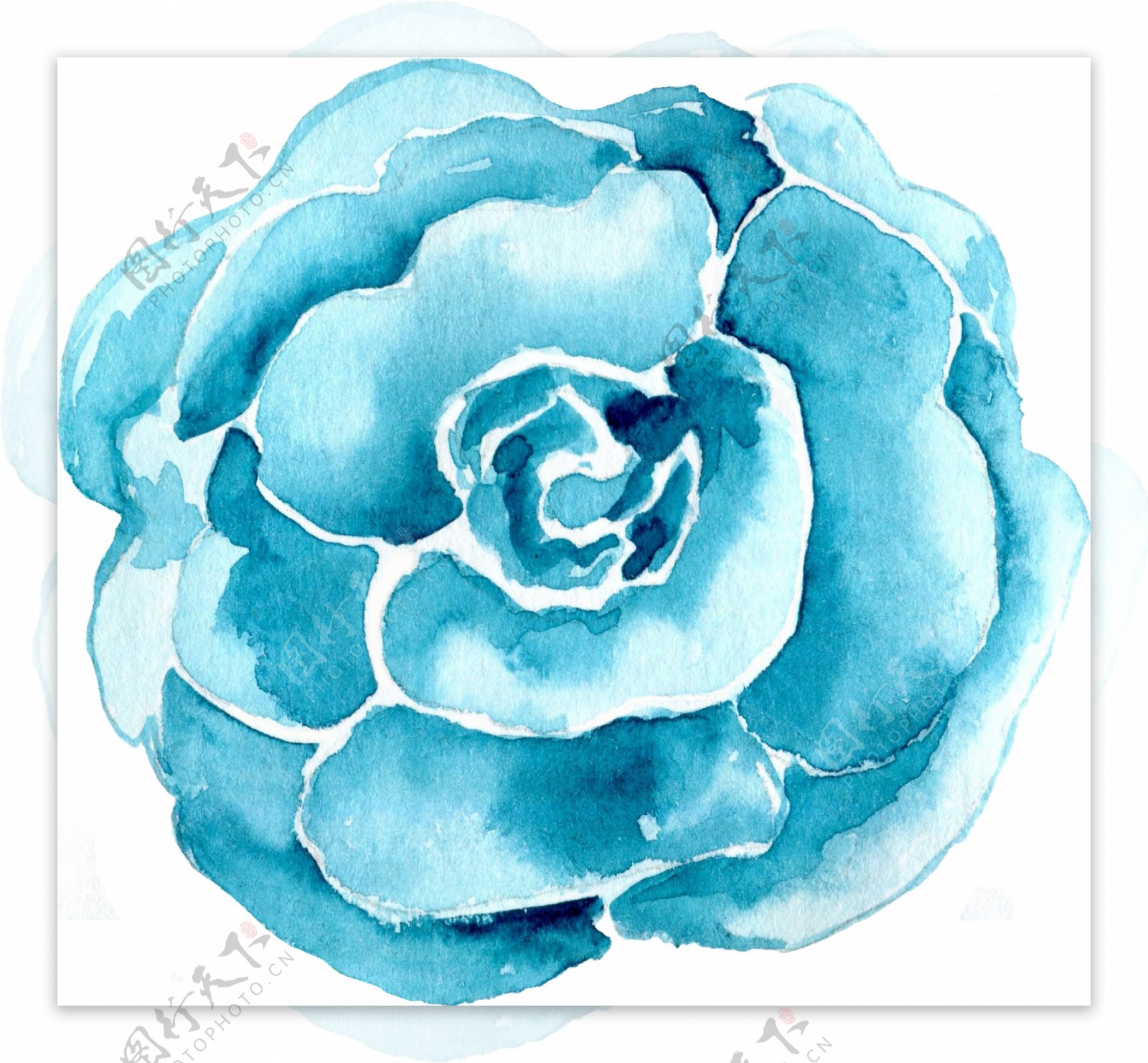 蓝色唯美花卉透明素材