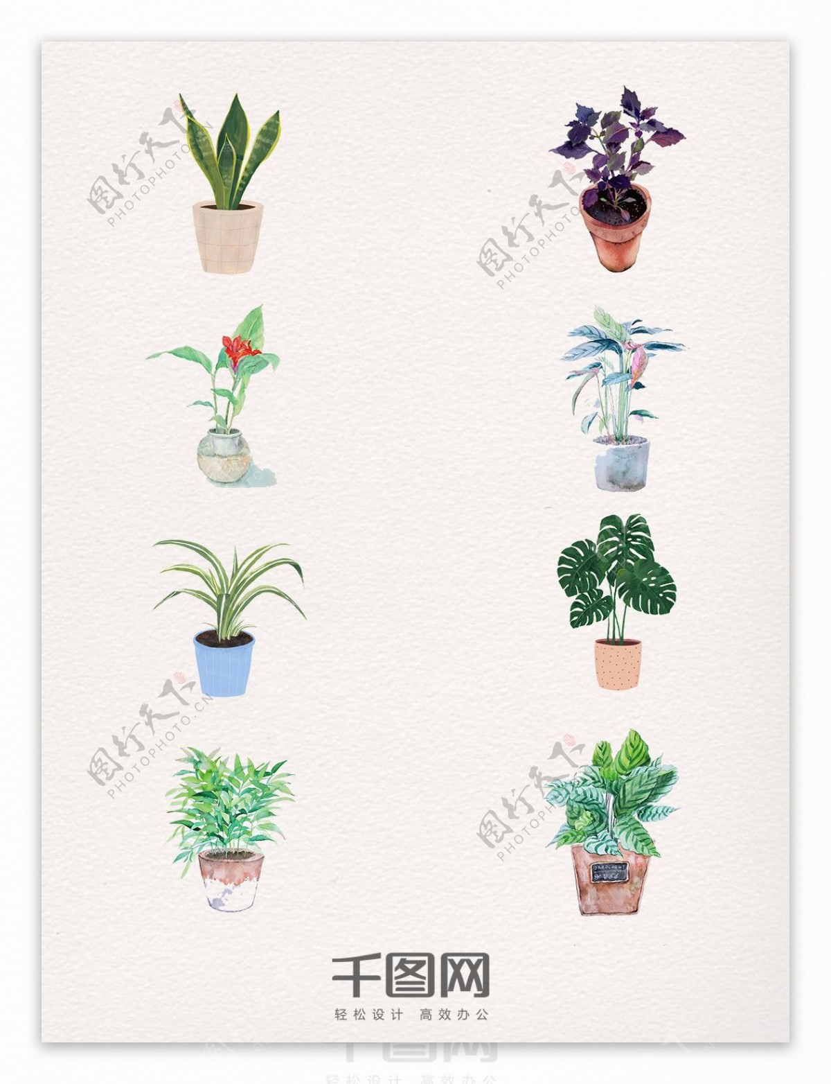 8款盆栽水彩植物素材