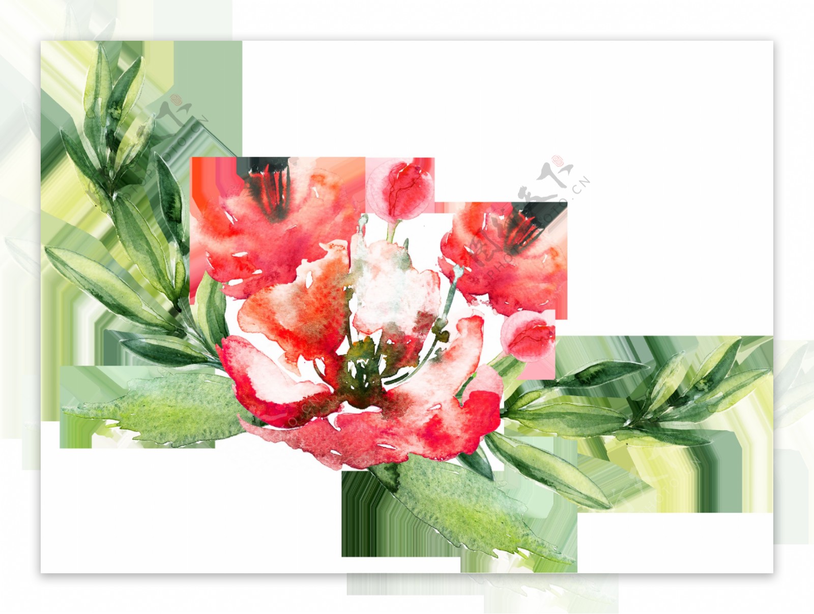卡片装饰花卉卡通透明素材