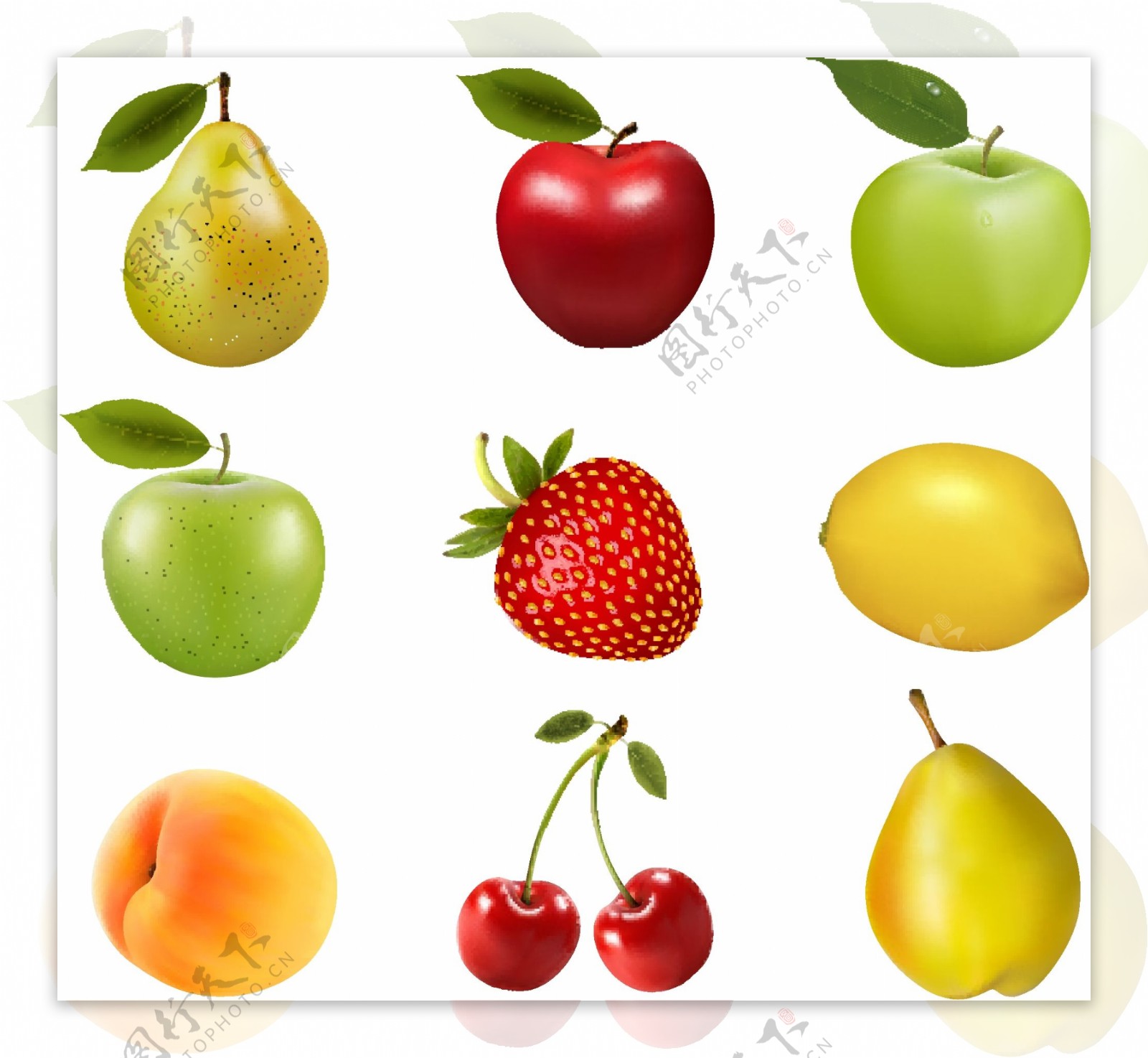 整齐排列的各种水果矢量素材