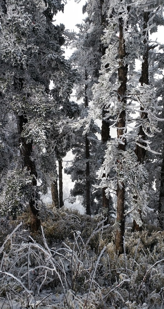 西岭雪山