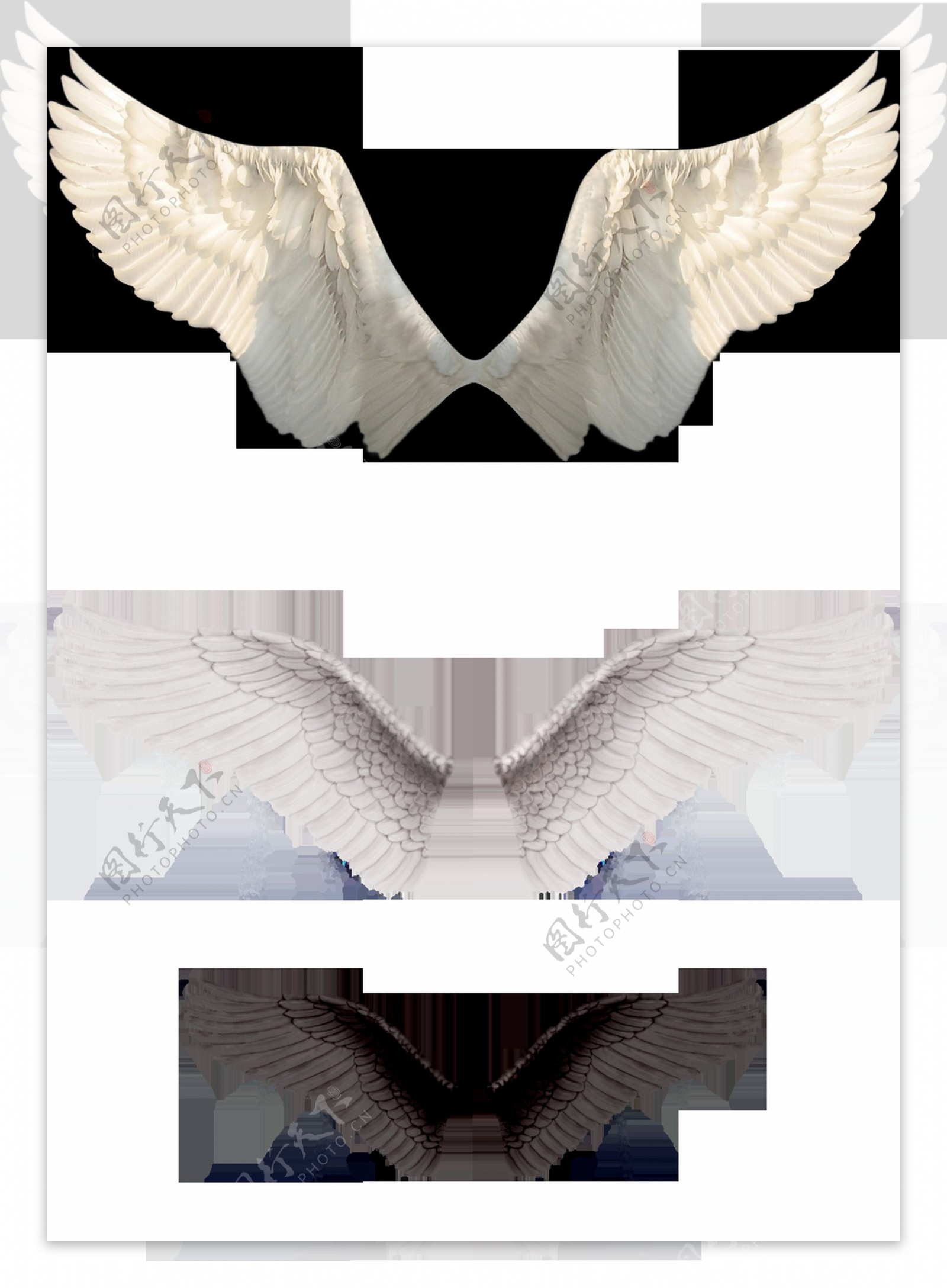 三色翅膀装饰素材