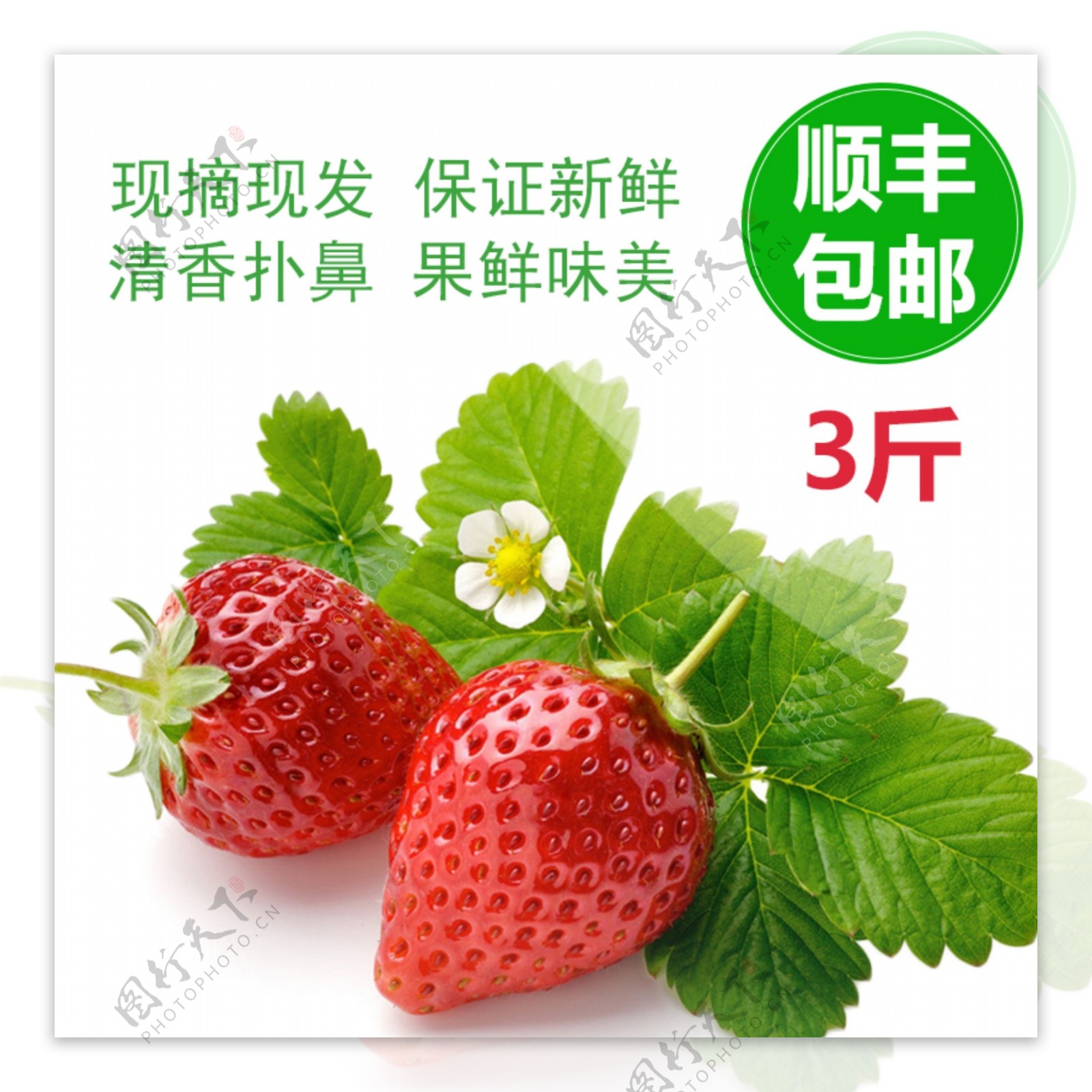 冬季草莓大促销主图