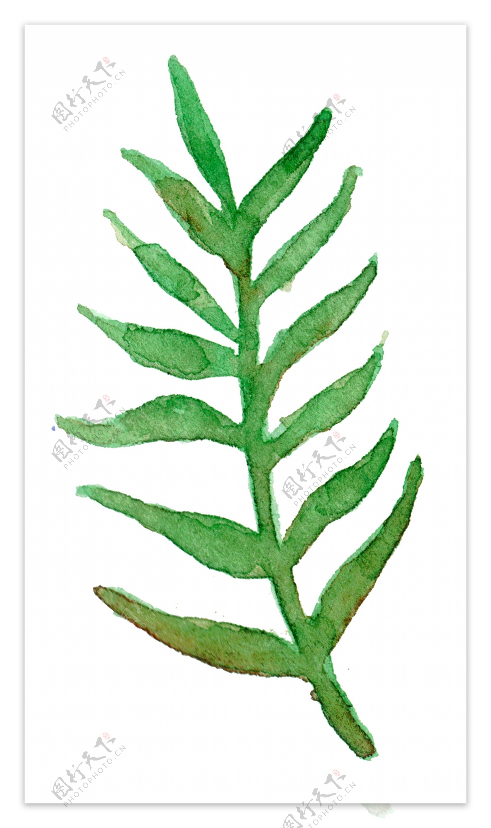 儿童绘画绿色植物psd源文件